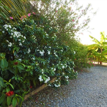 Sheba Cottages - Diani Beach Exterior photo
