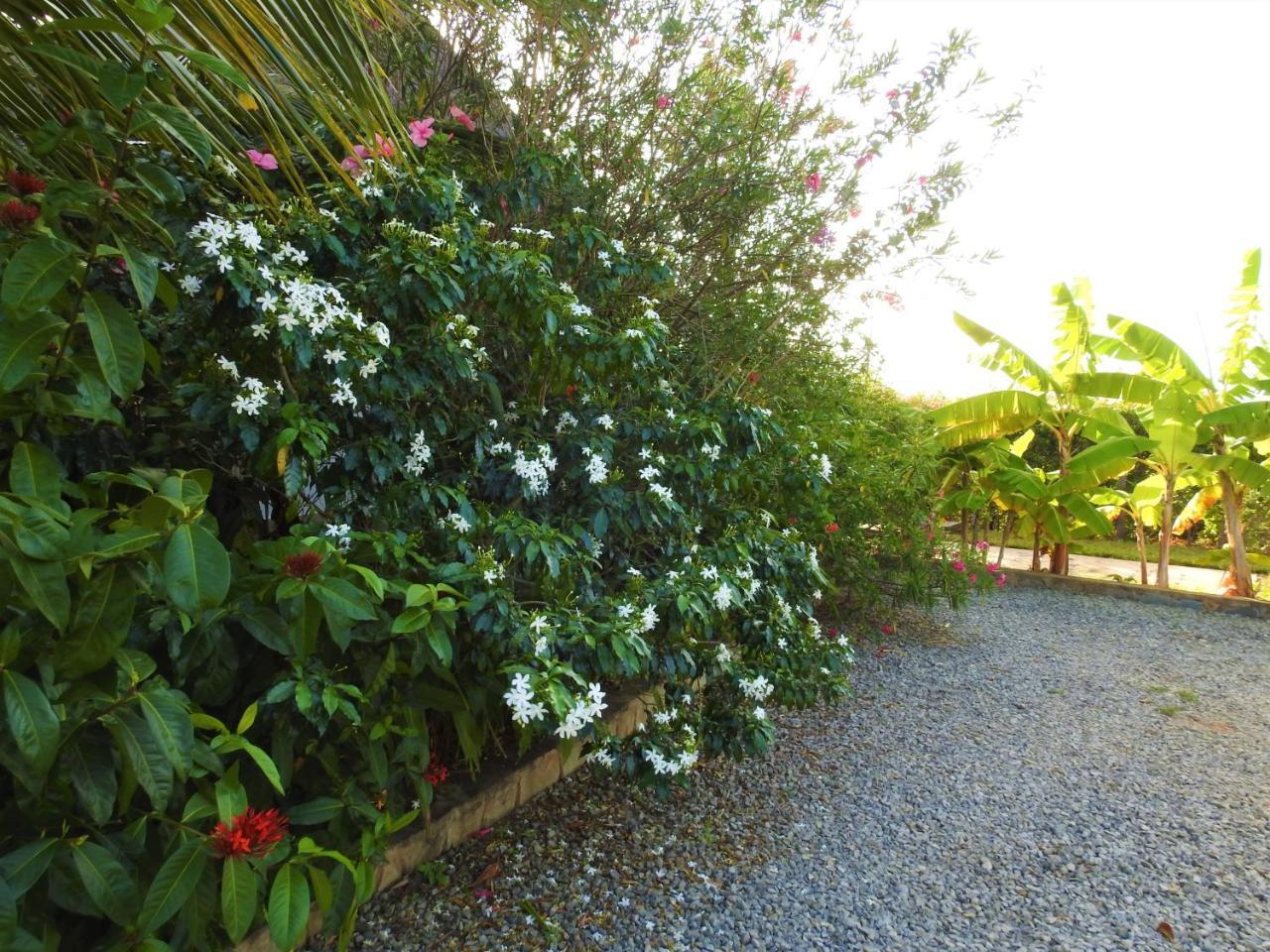 Sheba Cottages - Diani Beach Exterior photo